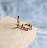 Gray Paulina Zirconia Gold Earrings Earrings