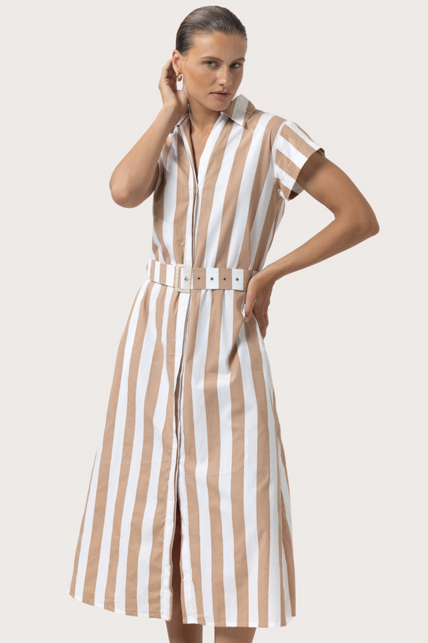 Beige Cindy Poplin Dress in Halo Stripe Midi Dress