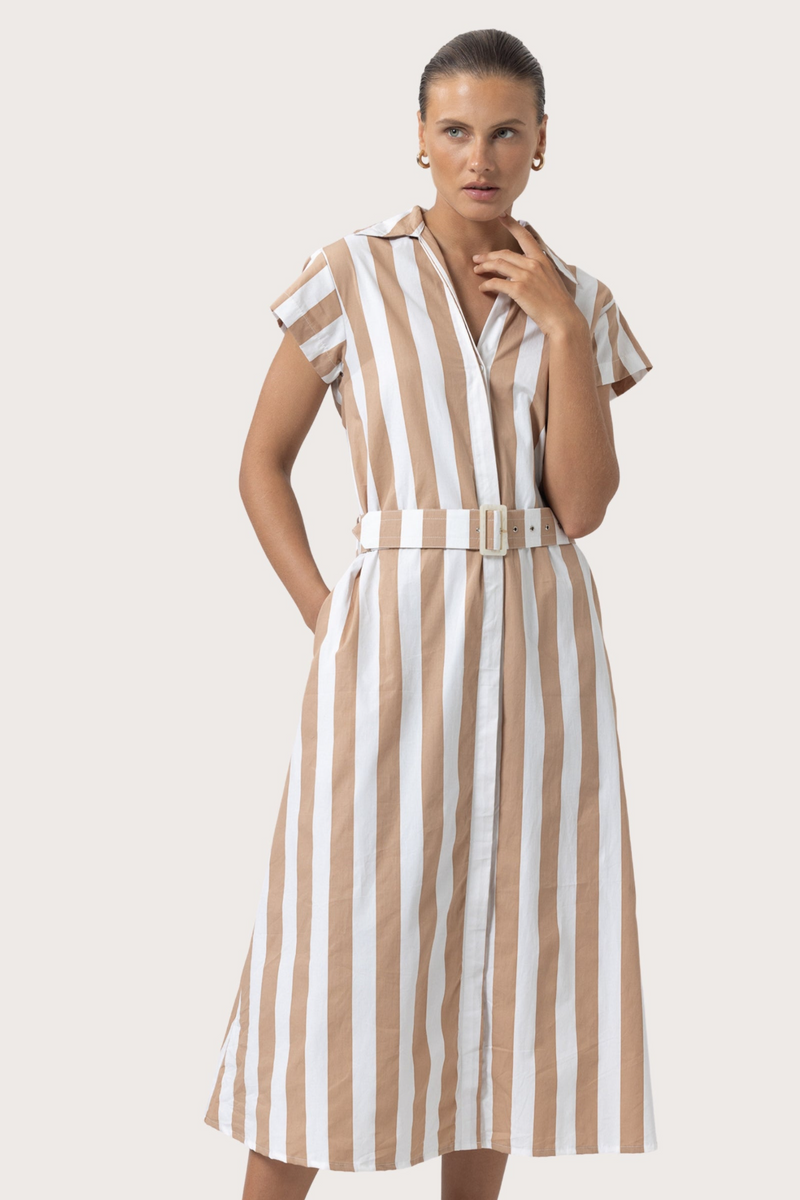 Antique White Cindy Poplin Dress in Halo Stripe Midi Dress