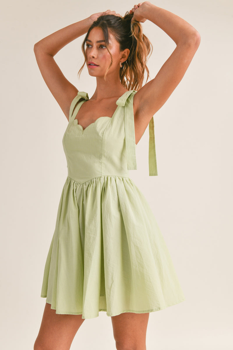 Light Gray Picnic In The Park Dress Mini Dress