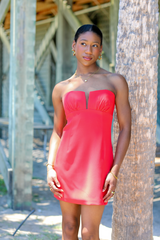 Dark Gray Ramone Dress Mini Dress