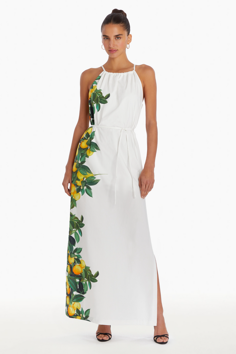 White Smoke Alicanta Maxi Maxi Dress