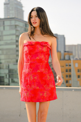 Rosy Brown Angelina Mini Dress in Red/Orange Mini Dress