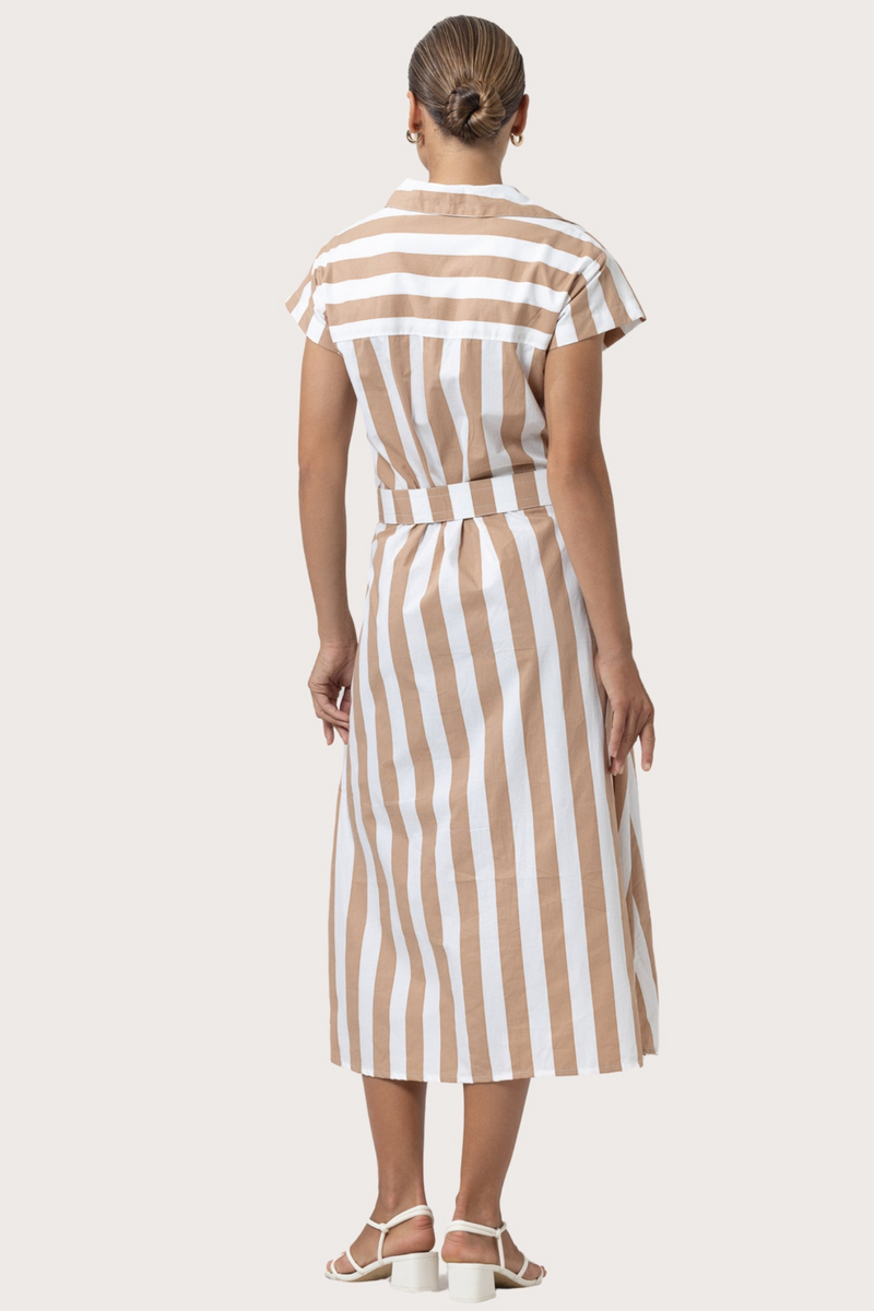 Beige Cindy Poplin Dress in Halo Stripe Midi Dress