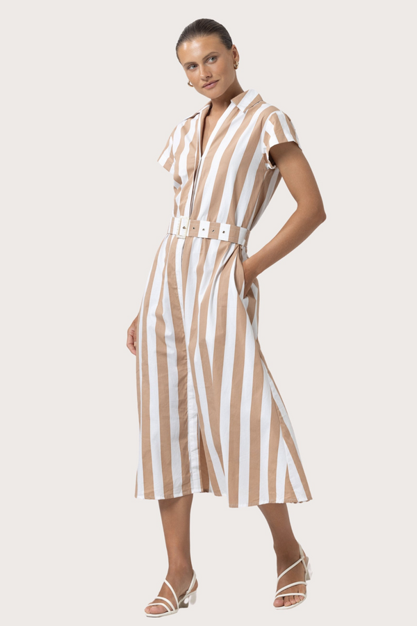 Beige Cindy Poplin Dress in Halo Stripe Midi Dress