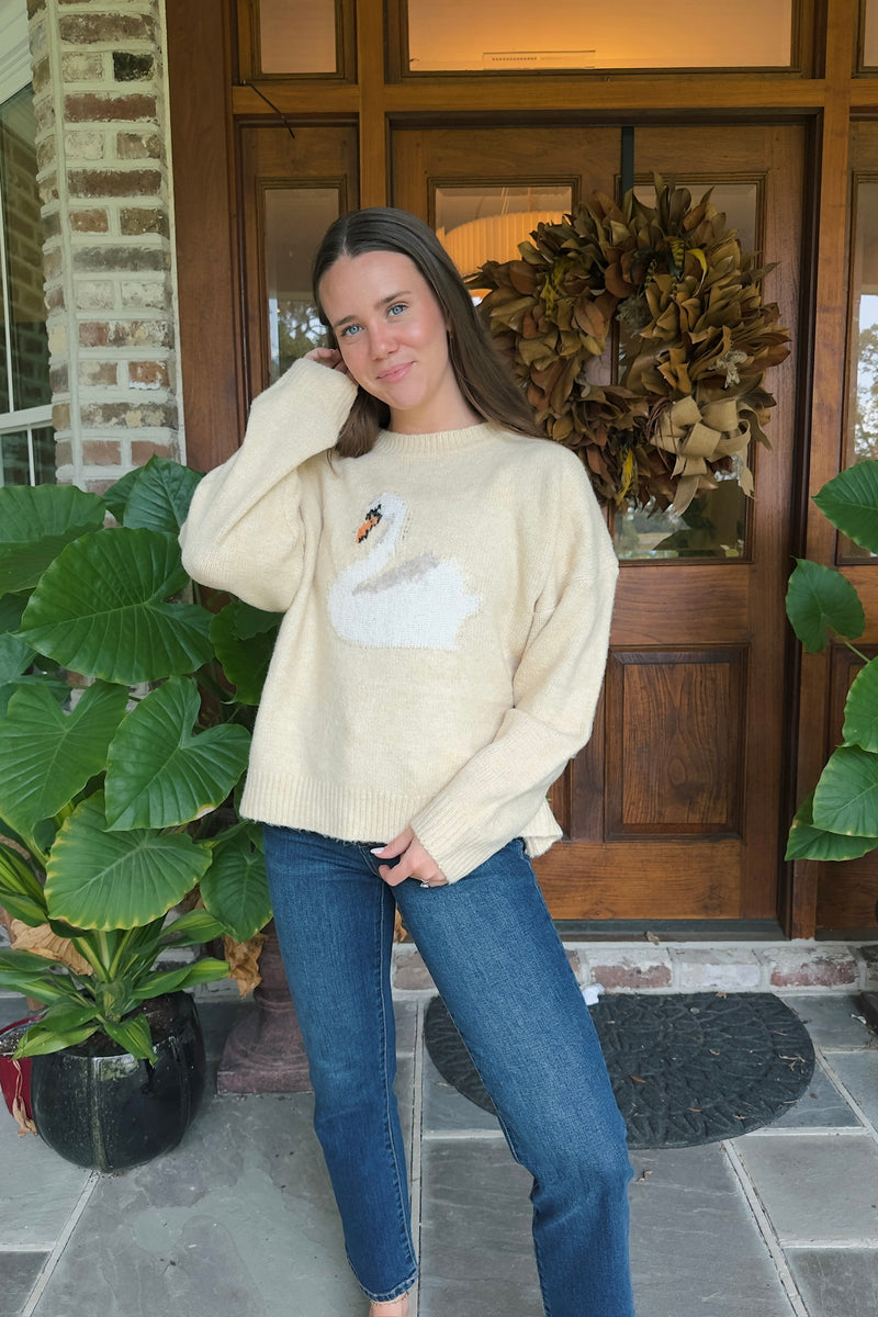 Dark Slate Gray Pondside Snuggle Pullover Sweater Sweater