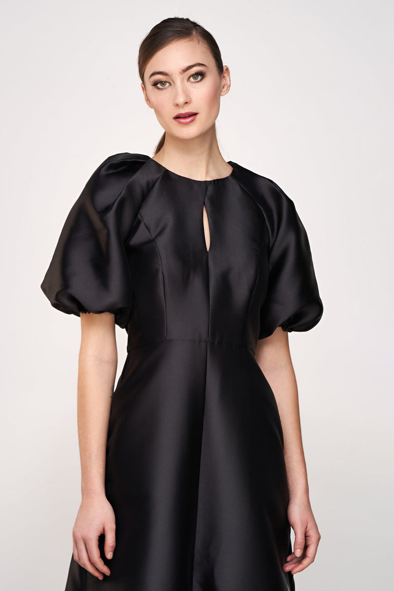 Delfina Statement Sleeve Gown – Two Cumberland1