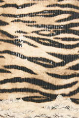 Bisque The Tigress Sequined Lace Trim Mini Skirt Mini Skirt