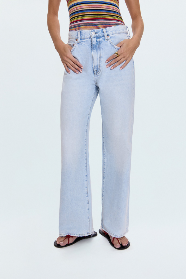 Hendrix High Rise Baggy Jean | Waterfall