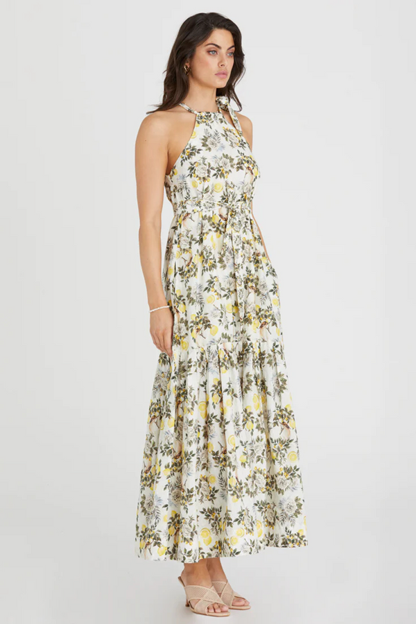 Light Gray Zoe Dress Maxi Dress