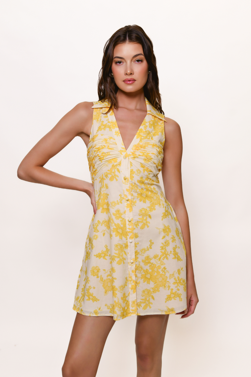 Colt Dress in Champagne Danity Fuzzy Floral