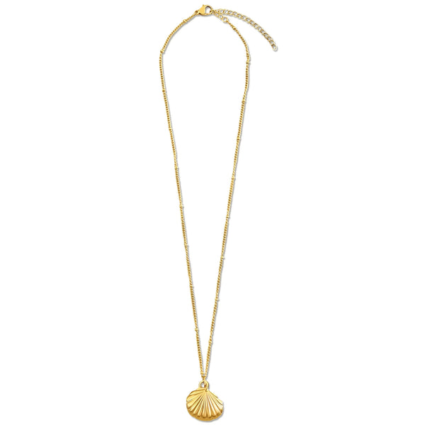 Wheat Georgina Shell Pendant Necklace