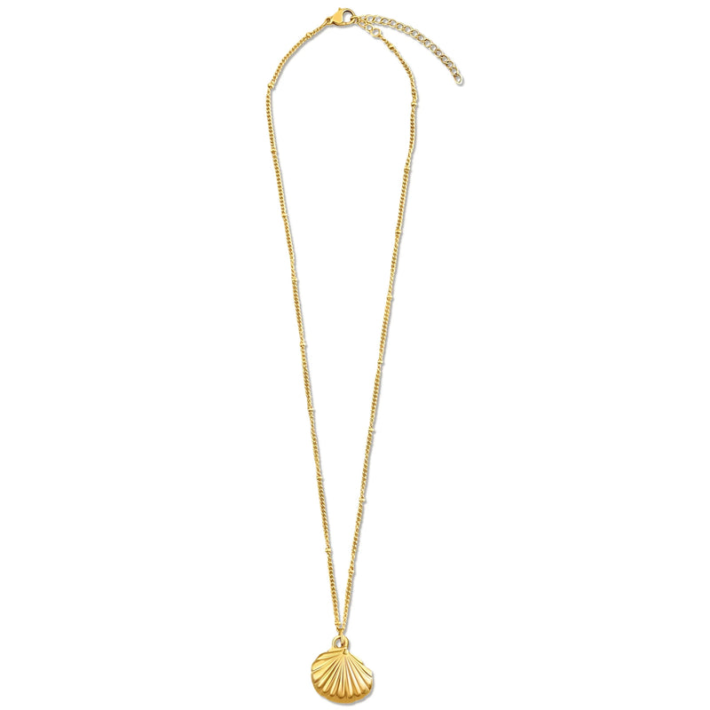 Wheat Georgina Shell Pendant Necklace