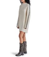Gray Gemma Dress Mini Dress