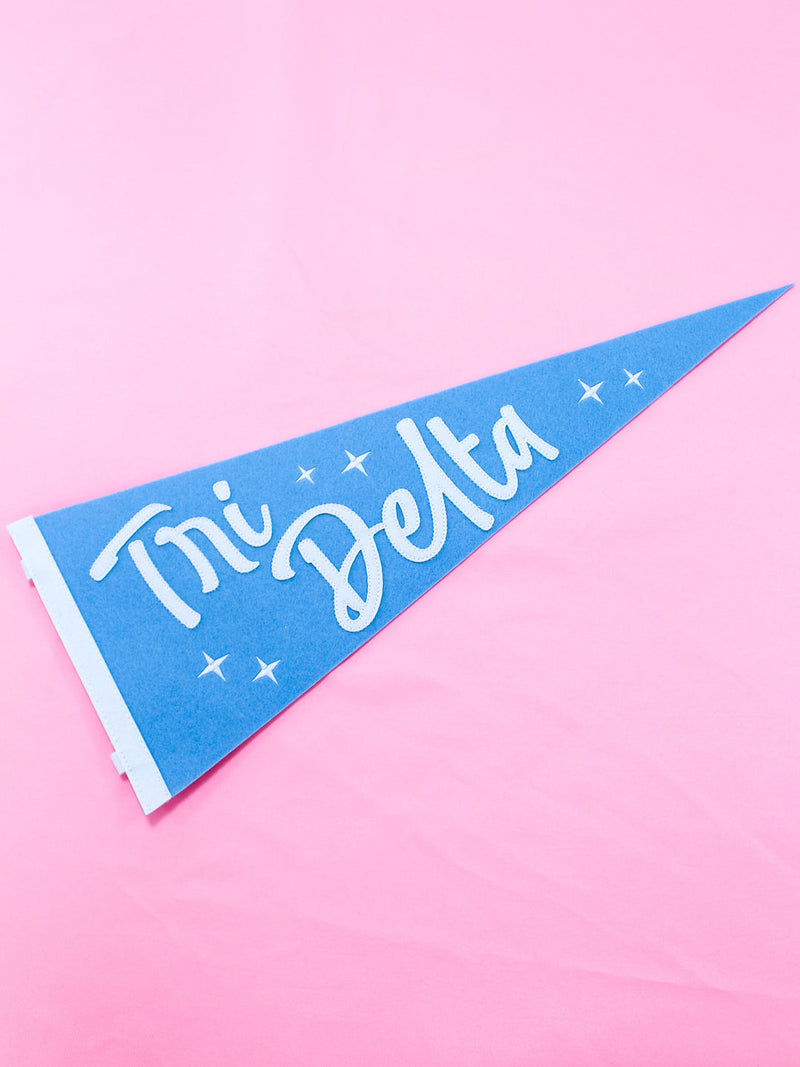 Pink Sorority Stardust Pennant Flag sorority