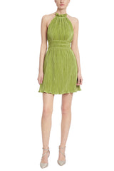 Tan Karmen | Pleated Mini Dress Mini Dress