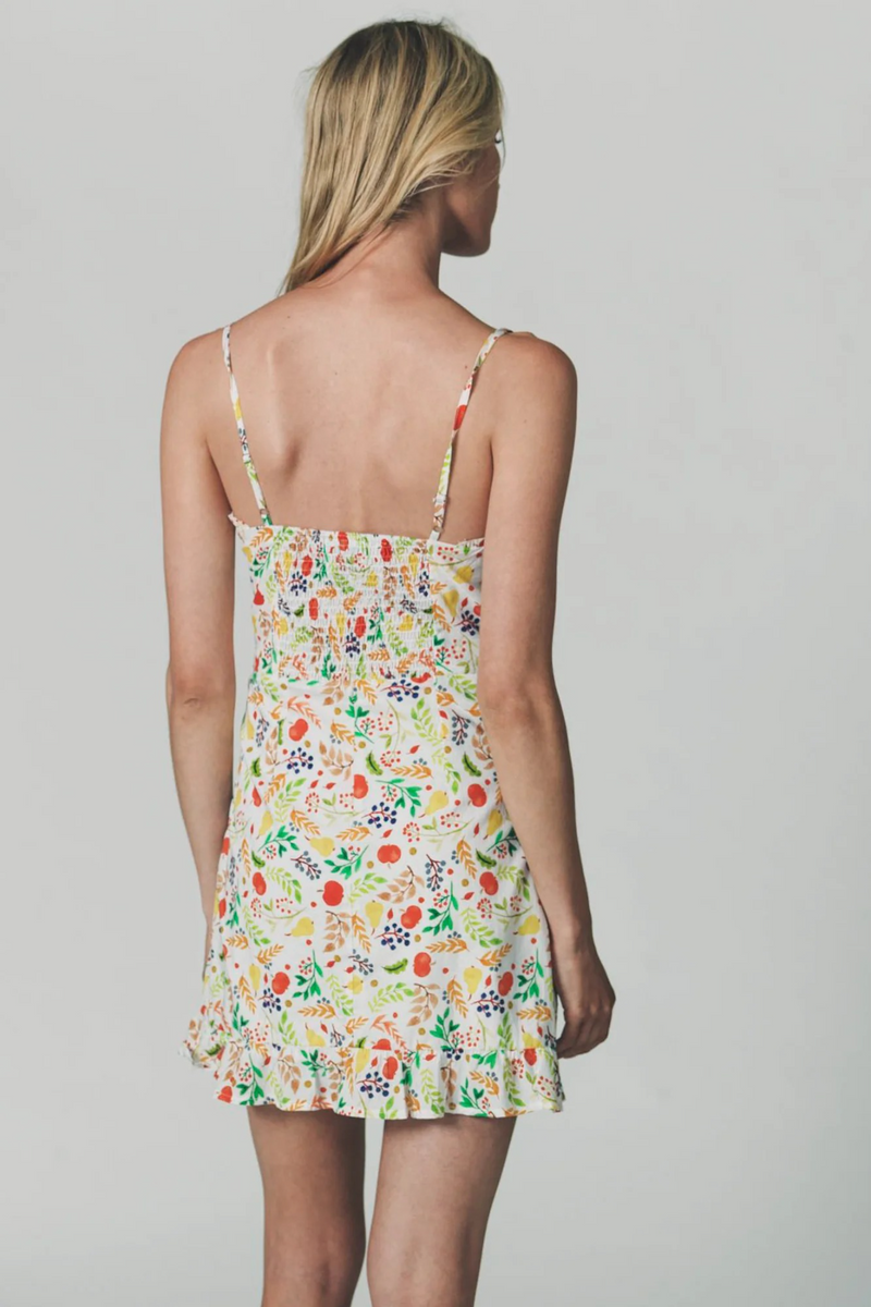 Gray The Sienna Dress in Summer Fruit Mini Dress