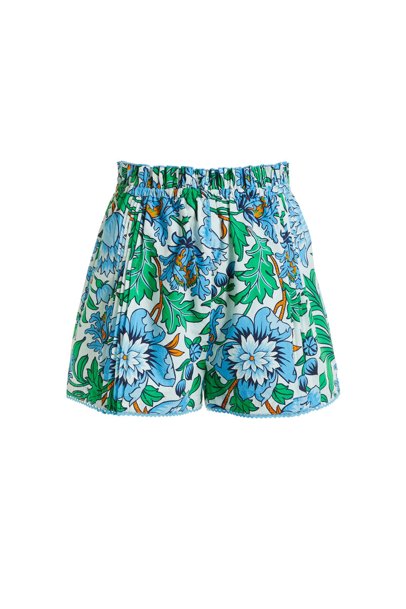 Cadet Blue Amelie Shorts Shorts