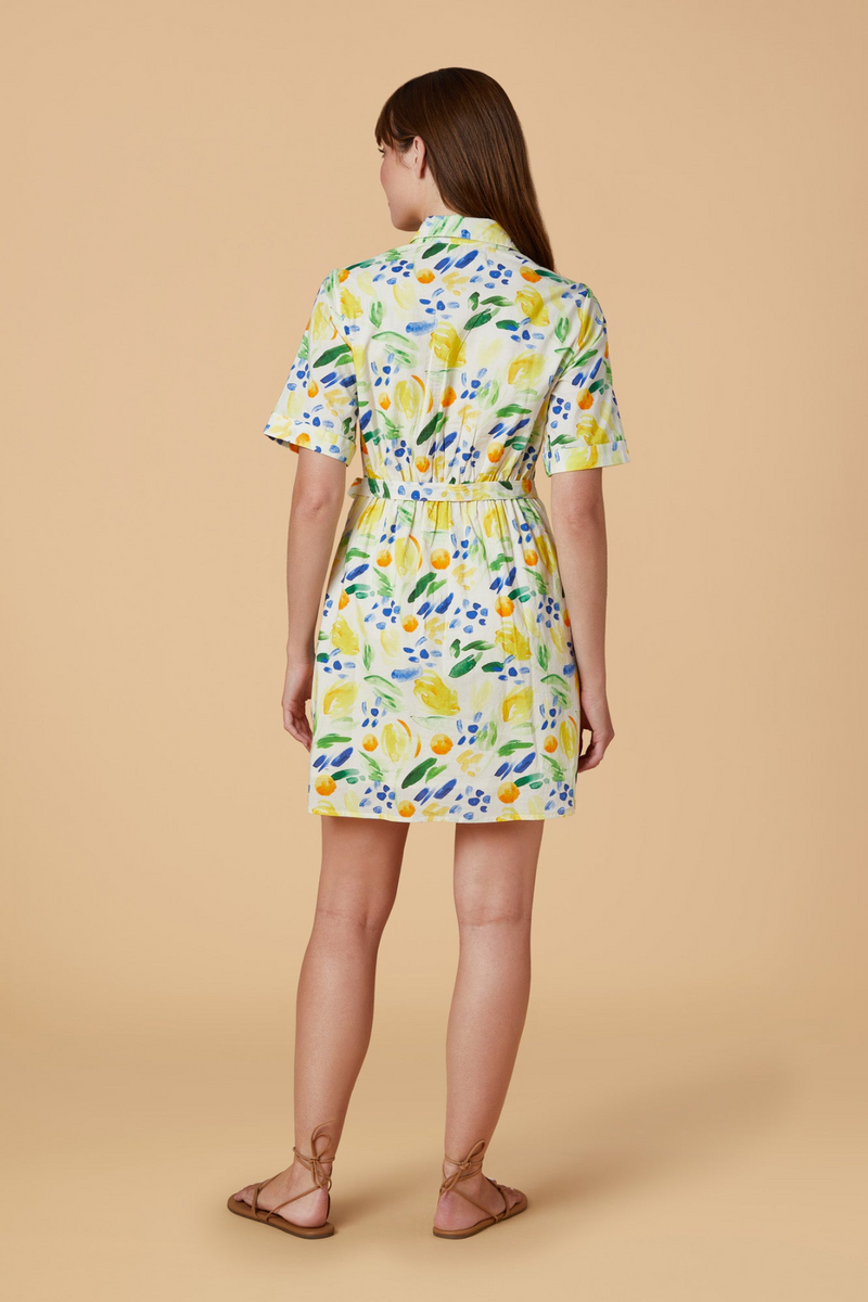 Tan Tilly Dress in Clementine Mini Dress