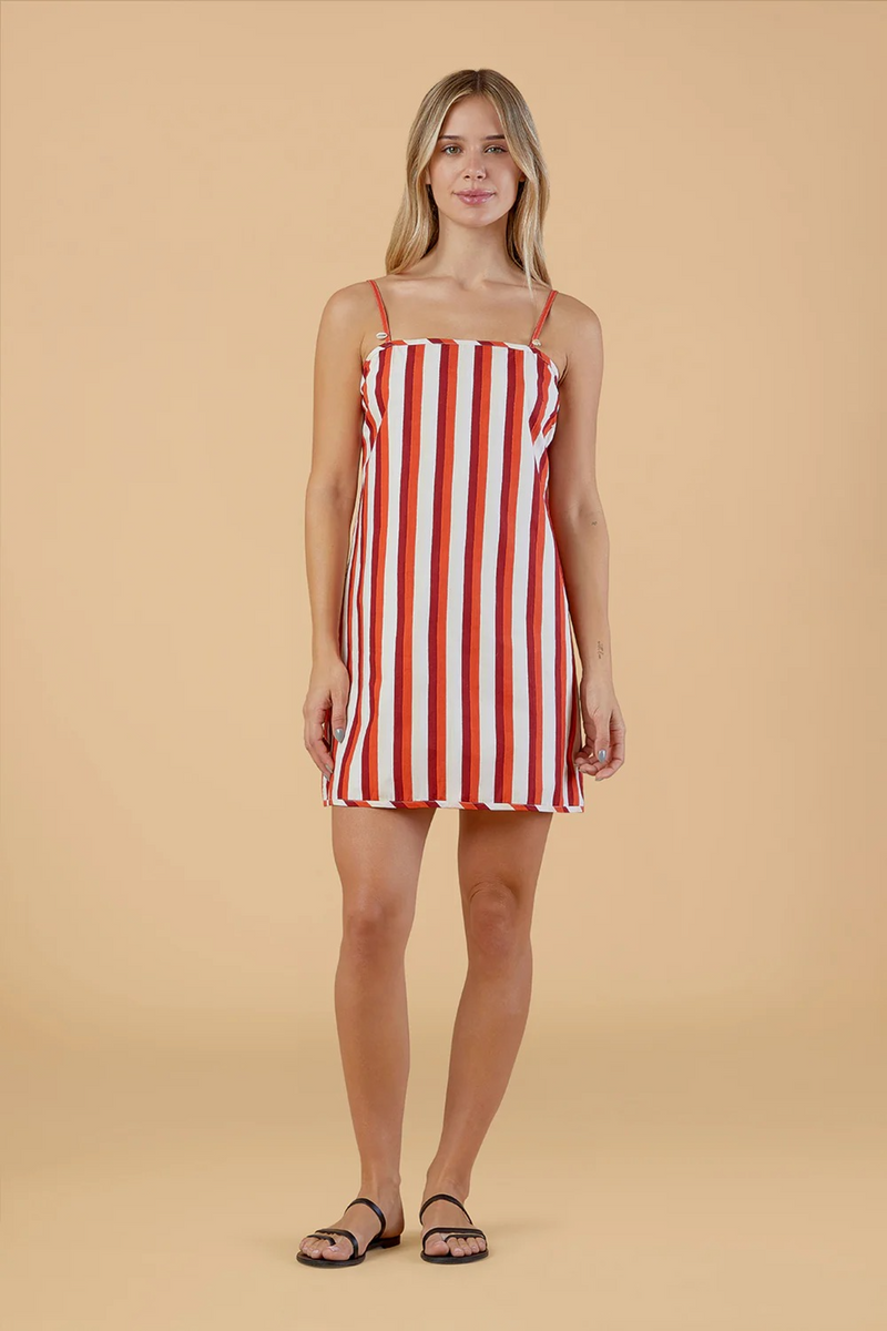 Tan Carter Dress in Cabana Stripe Mini Dress