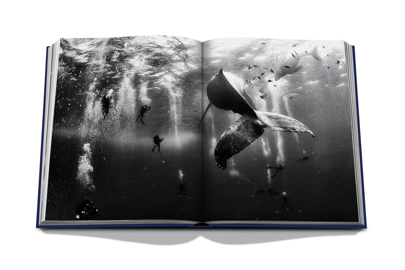 Dark Slate Gray Ocean Wanderlust Book
