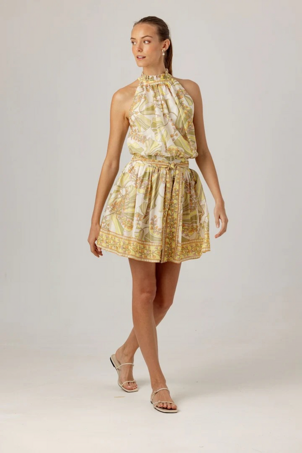 Gray Printed Lizette Dress in Vintage Botanic Mini Dress