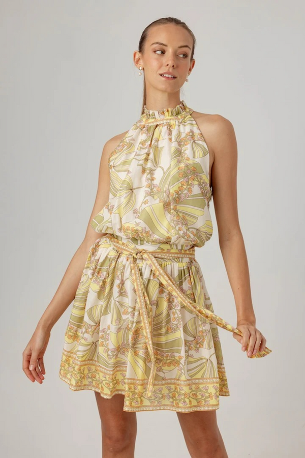 Gray Printed Lizette Dress in Vintage Botanic Mini Dress