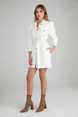 Gray Sante Fe Denim Dress Mini Dress
