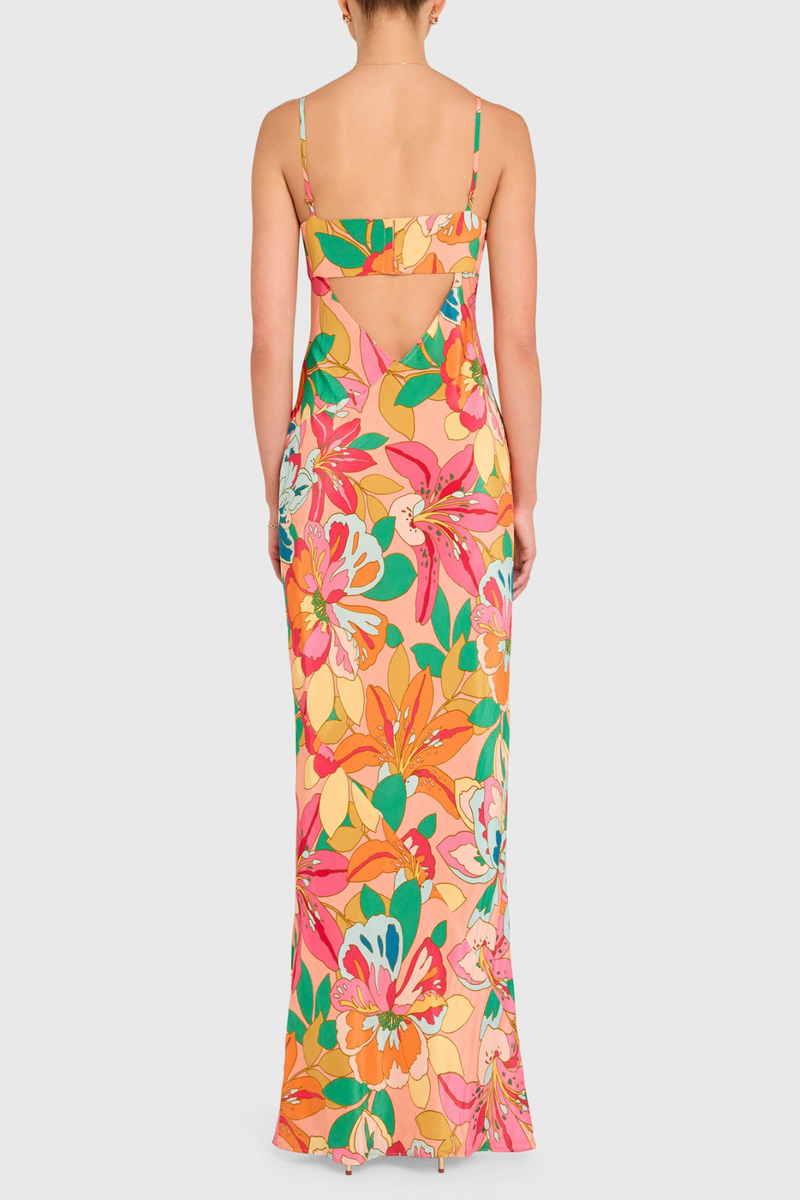 Antique White Janeiro Maxi Dress in Botanico Maxi Dress