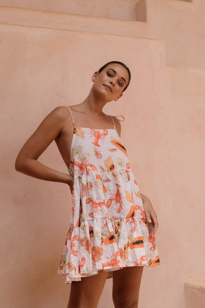 Rosy Brown Nikko Mini Dress in Seaside Mini Dress