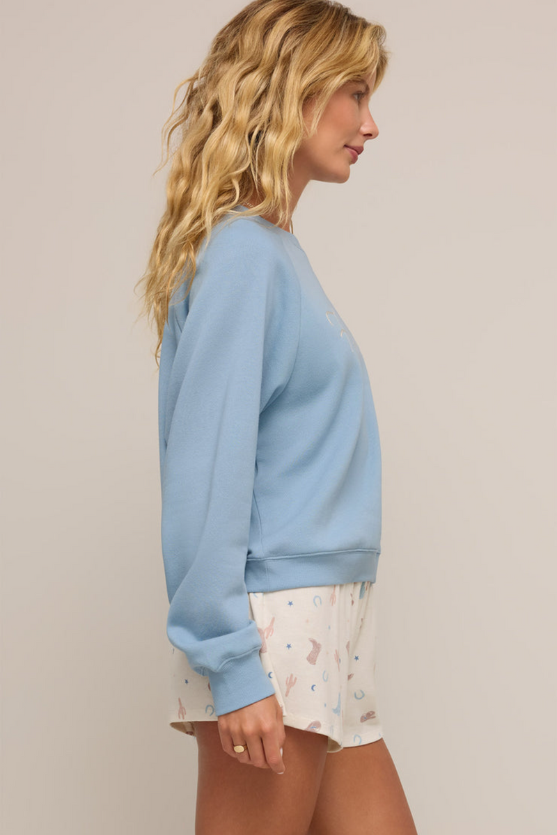 Gray Howdy Fleece Sweatshirt Sweatshirt