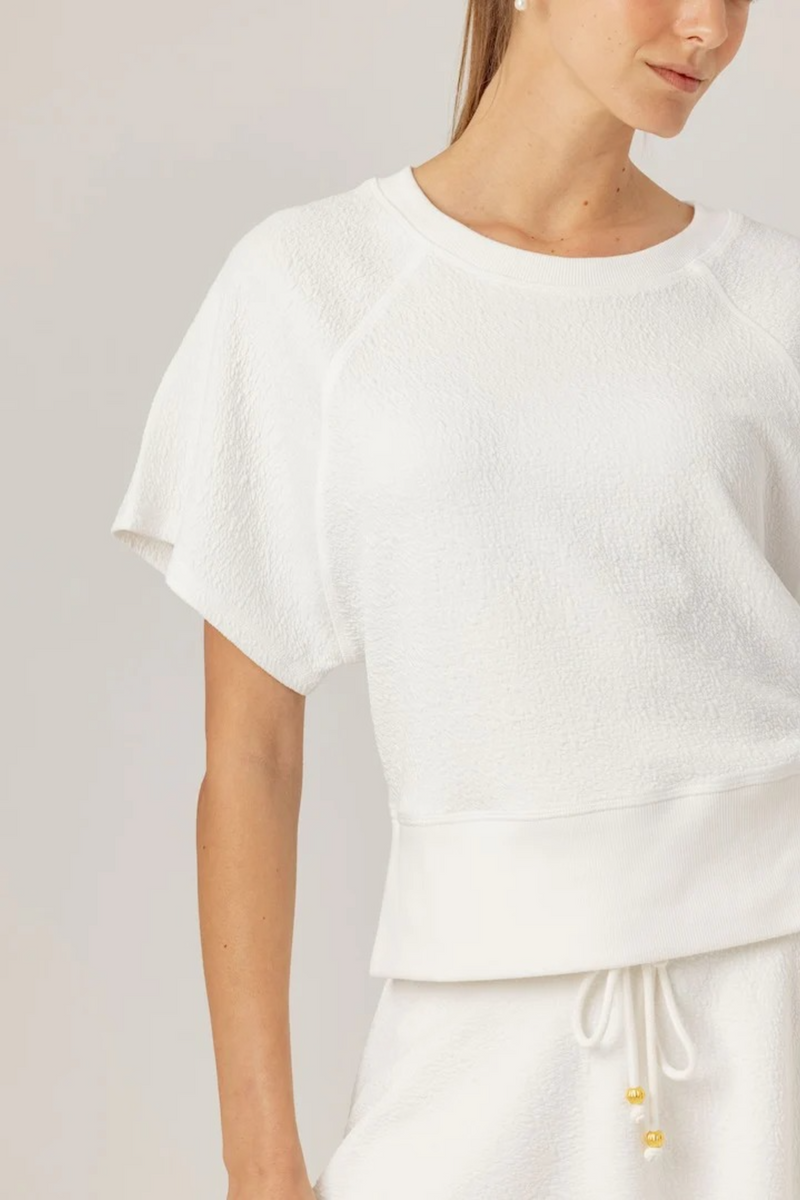 Light Gray Zelie Pullover Top