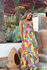 Dim Gray Susan Dress in Fruit Print Maxi Dress