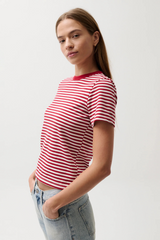 Lavender Alba Stripe Shrunken Tee T Shirt