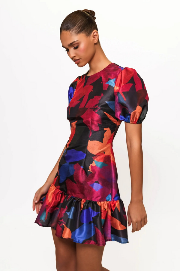 Dark Slate Gray Rayan Dress in Navy Multi Papier Mache Floral Mini Dress