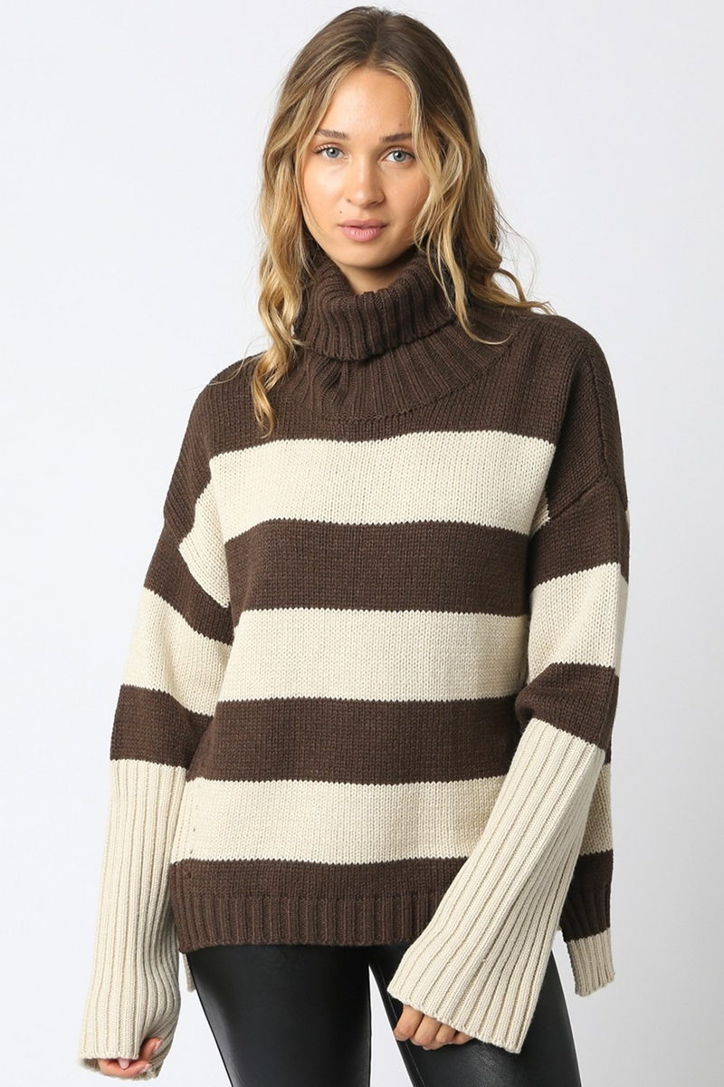 Dark Slate Gray Shep Striped Turtleneck Sweater Sweater