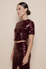 Black Midnight Sparkle Sequin Crop Top Crop Top