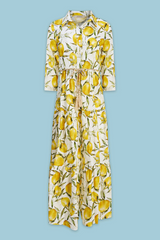 Light Steel Blue Molly Dress in Lemon Midi Dress
