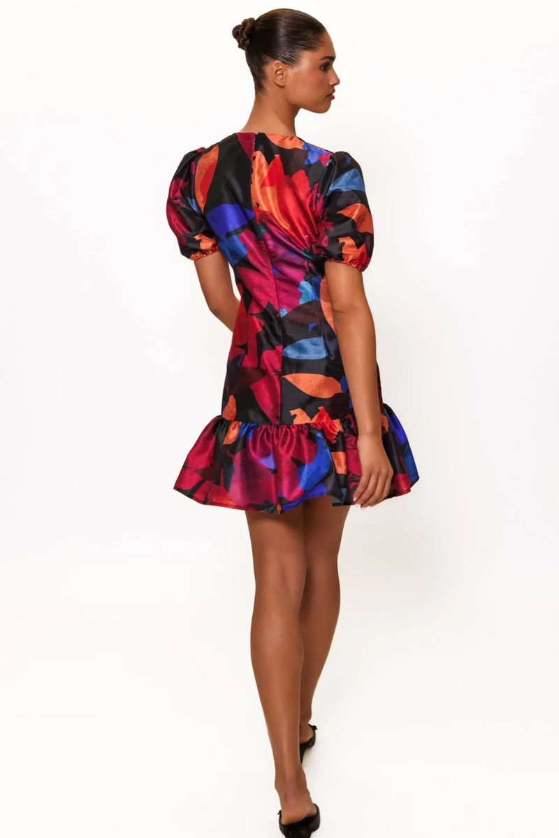 Snow Rayan Dress in Navy Multi Papier Mache Floral Mini Dress