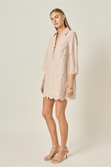 Light Gray Striped Embroidered Scallop Hem Shirt Mini Dress Mini Dress