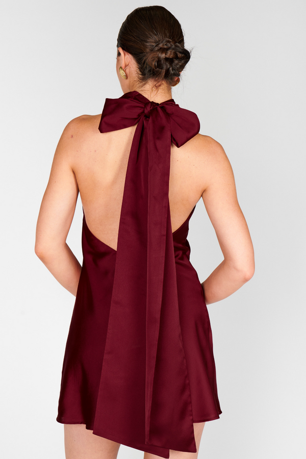 Dark Red Lisa Mini Dress Mini Dress