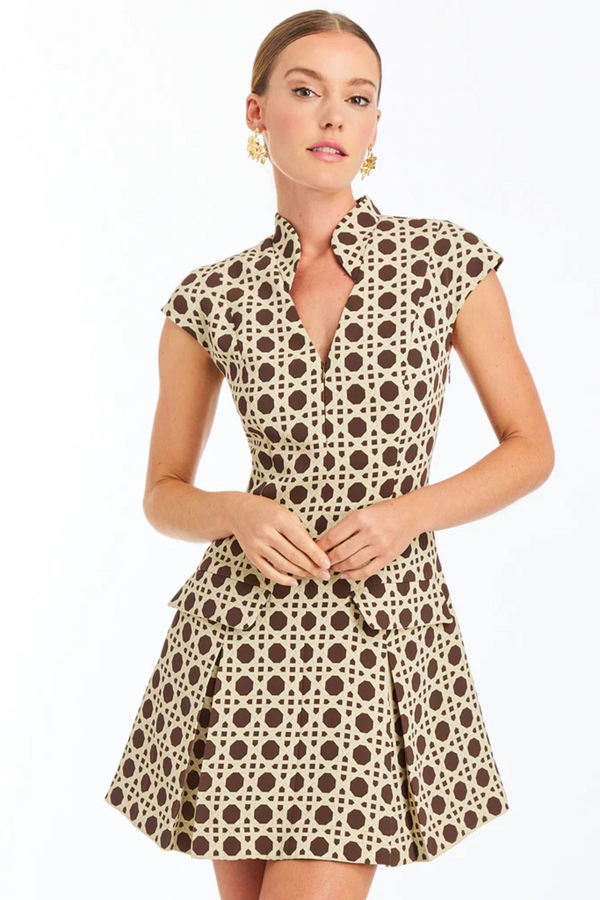 Antique White Tianna Mini Dress in Solihiya Brown/ Ivory Mini Dress