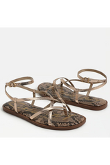White Smoke Dakota Ankle Strap Sandal | Antique Gold Leather Sandal