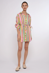 Light Gray Shannon Mini Dress in Surya Stripe Mini Dress