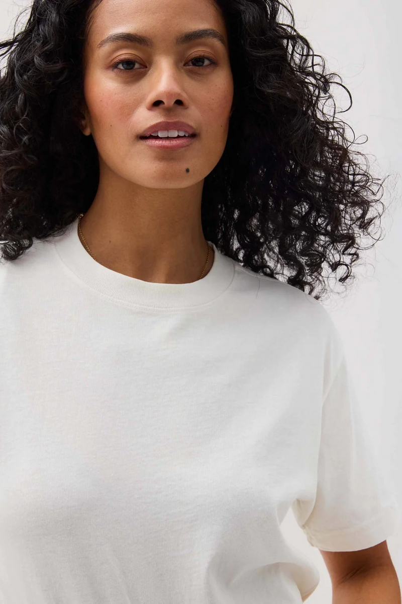 Light Gray Relaxed Everyday Tee T Shirt