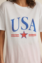 Light Gray USA Star Boyfriend Tee Graphic Tee