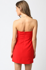 Firebrick Shiloh Mini Dress Mini Dress