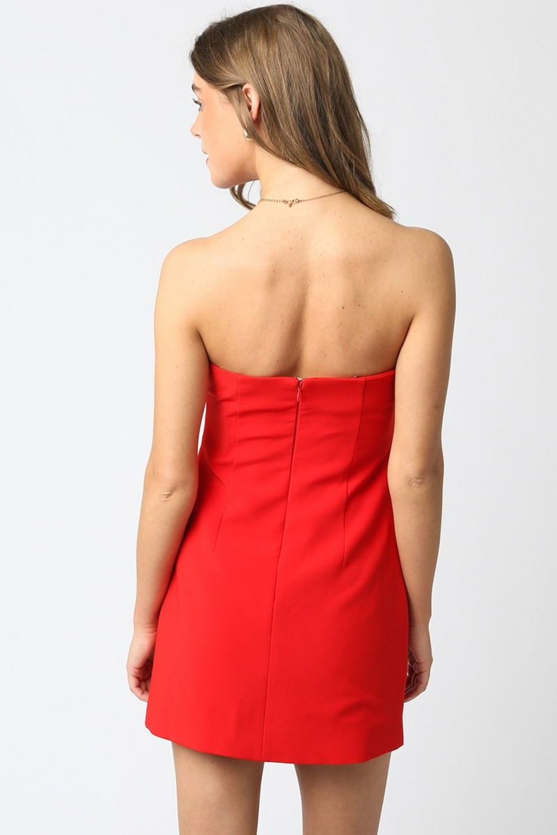 Firebrick Shiloh Mini Dress Mini Dress