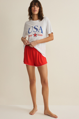 Light Gray USA Star Boyfriend Tee Graphic Tee