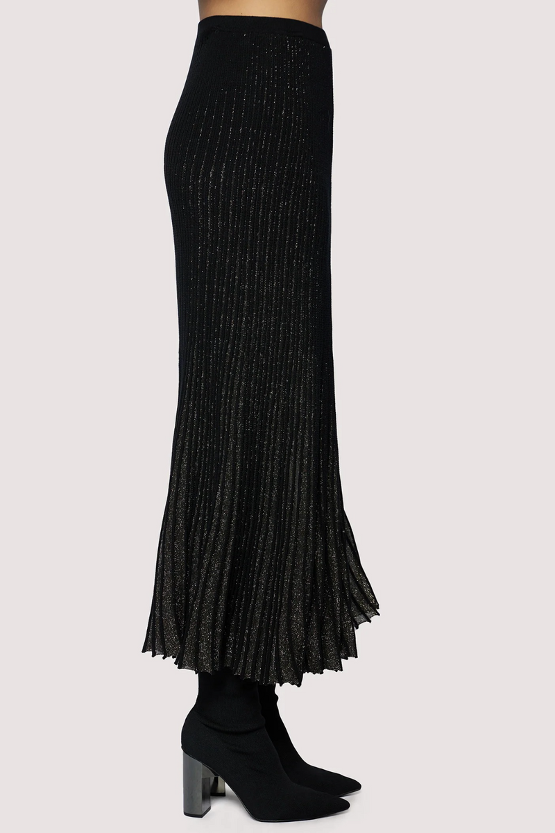 Black Treassures Of Light Skirt Maxi Skirt